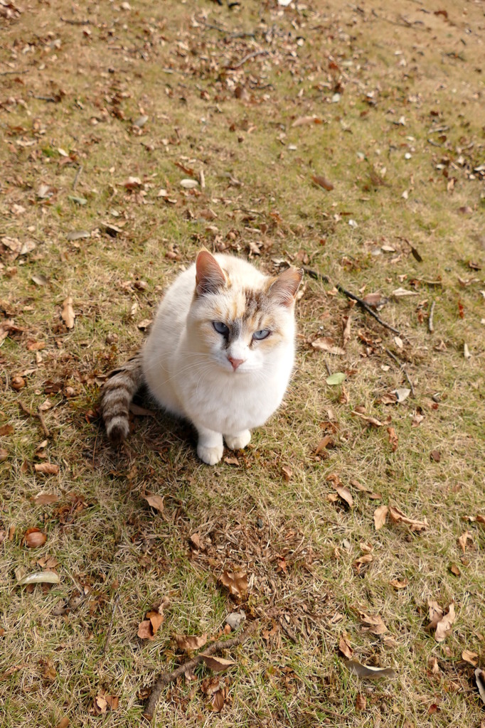 15-01-02    DMC-FZ1000 094