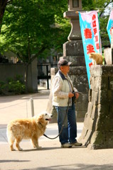 神社猫