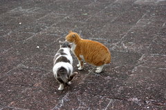 ちどり公園09-12-13  K200D 086