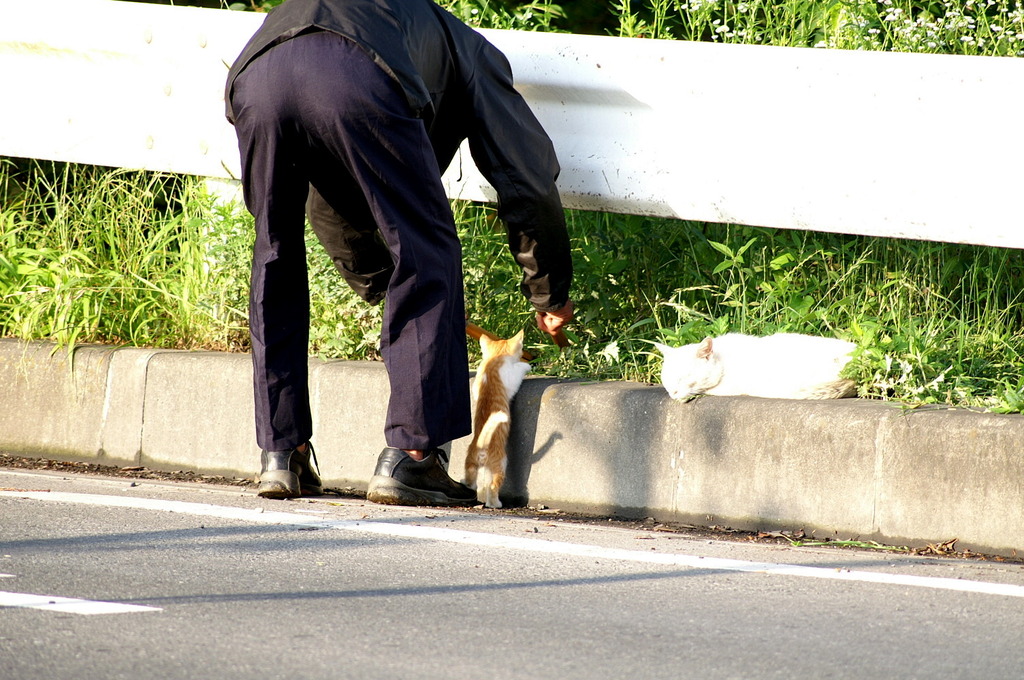 09-6-7  α-7digital 325