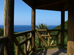 P8230510