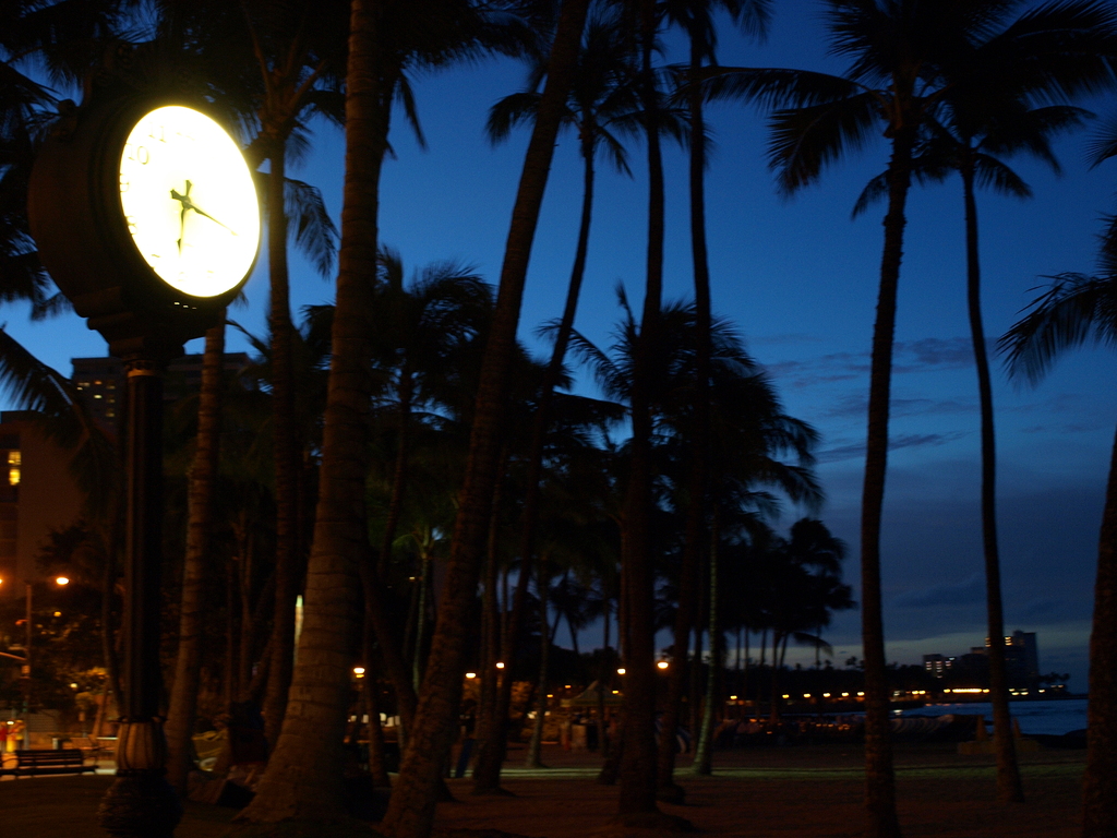 WAIKIKI Beach 2