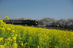 IMGP44929
