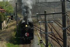 IMGP44930