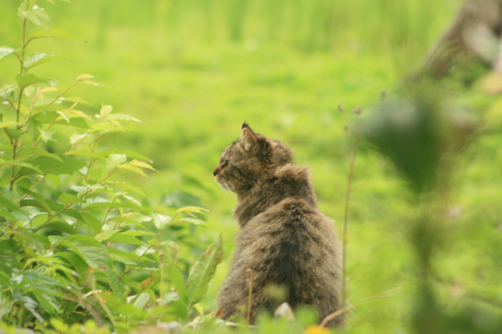 どこみてんの？