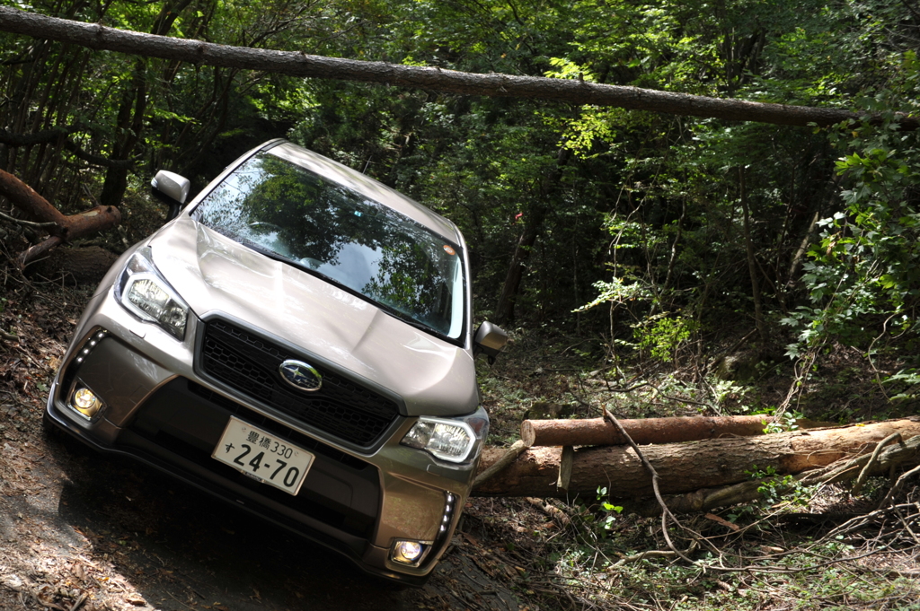 新体験SUV 【林道③】