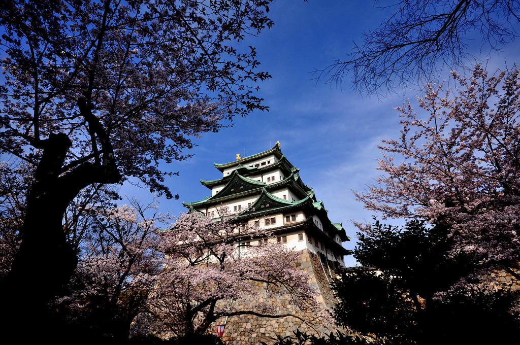 那古野城　春の陣