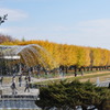 昭和記念公園