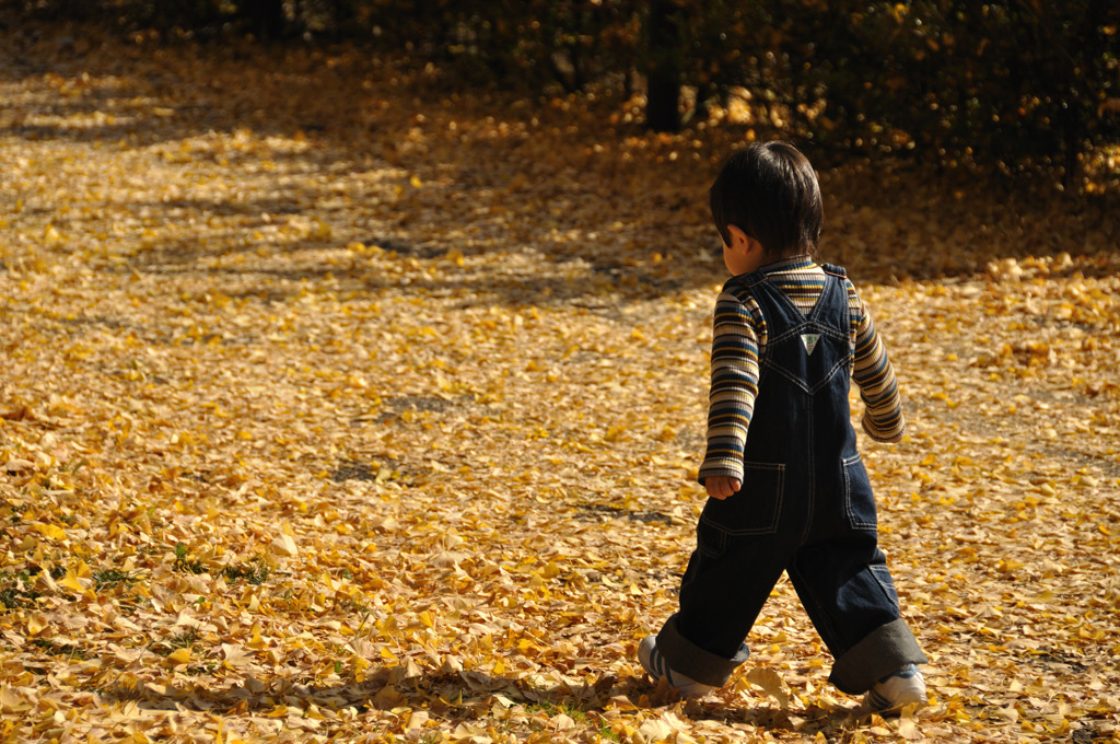 息子と落ち葉の絨毯