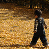 息子と落ち葉の絨毯