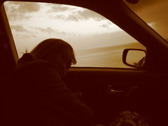 sepia memory