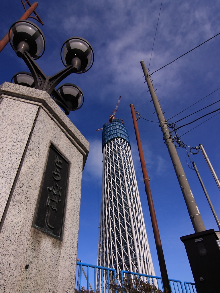 Reach For The SKY