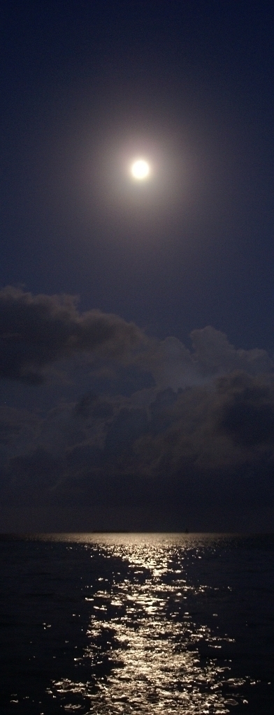 月夜