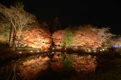 2012_曽木公園f