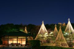 白鳥庭園f
