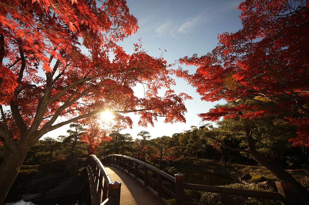白鳥庭園c