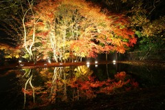 逆さ紅葉