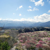 いなべ市梅林公園_i