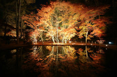 2012_曽木公園a