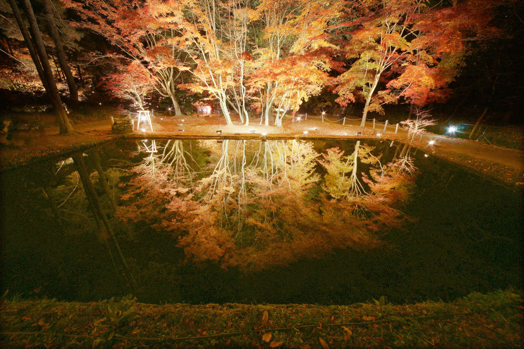 2012_曽木公園b