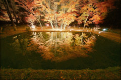 2012_曽木公園b