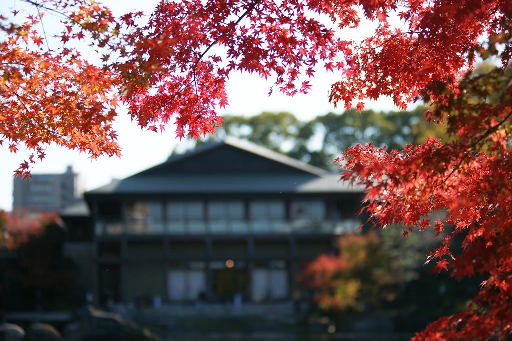 徳川園a
