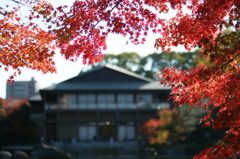 徳川園a