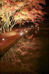 2012_曽木公園e