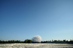 DSC02496