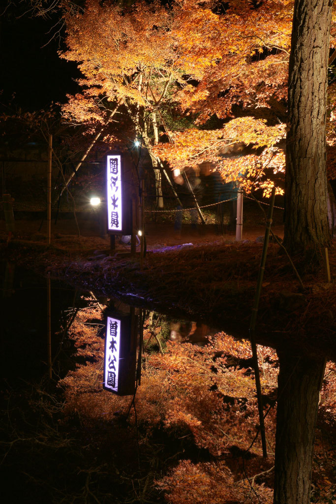 2012_曽木公園c