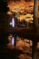 2012_曽木公園c