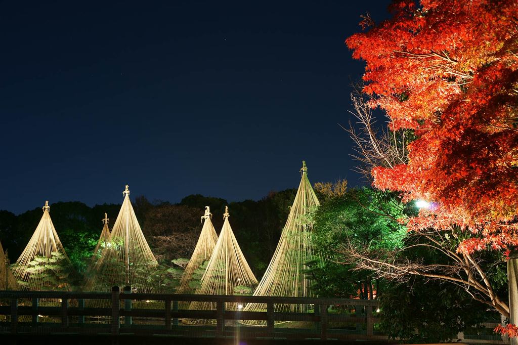 白鳥庭園e
