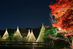 白鳥庭園e