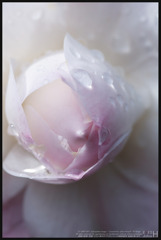 _IGP1140a
