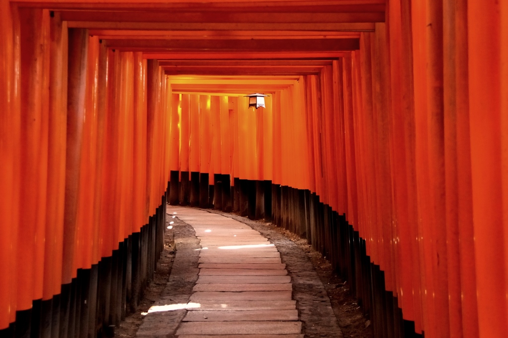 紅い夢