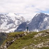 Matei and Marmolada in Italy