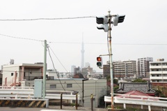 SkyTree 