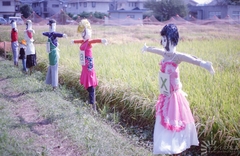 bodyguards of the rice field