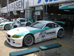 PETRONASカラー