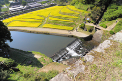 通潤橋