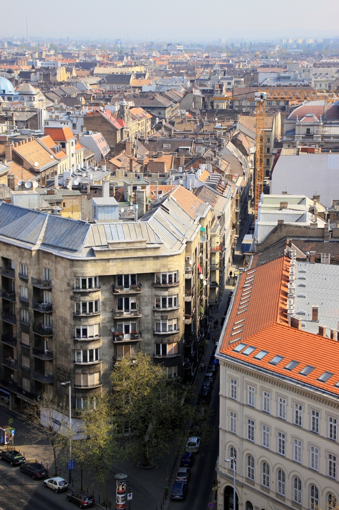 Hungarian Ground-scraper