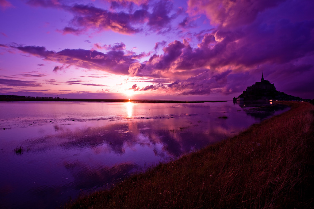 Purple St-Michel