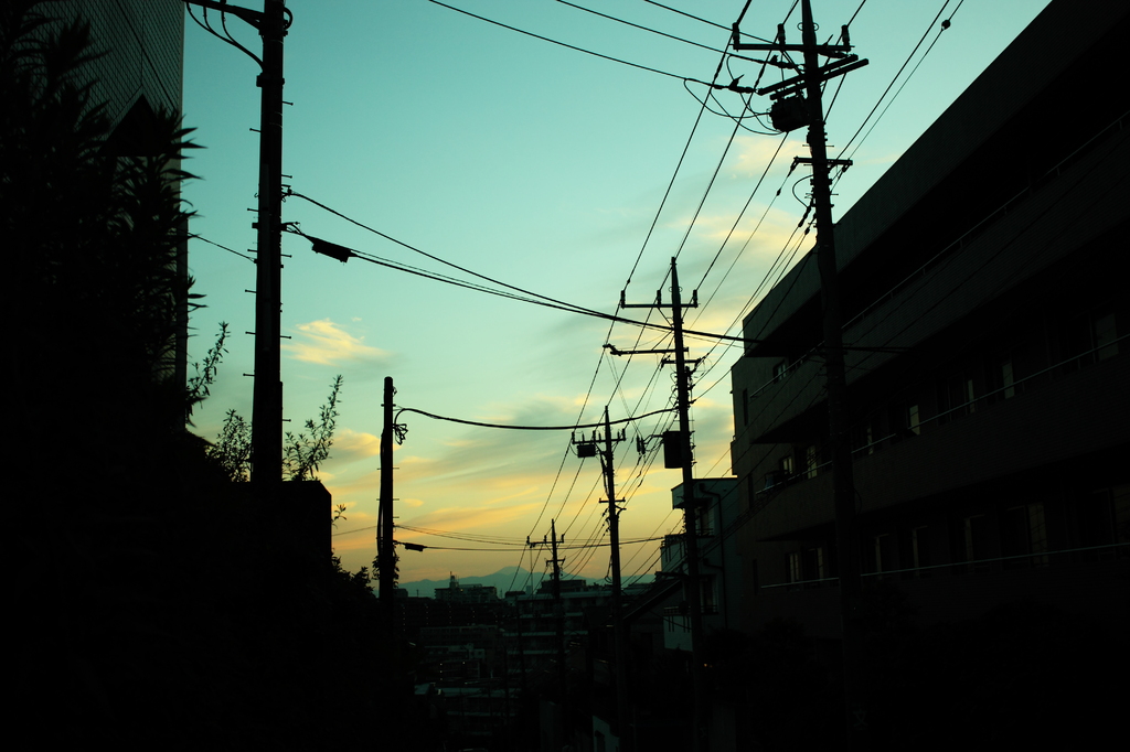 電線より