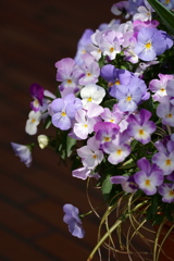 花迎2