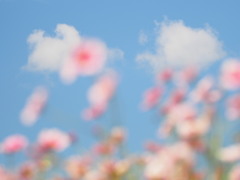 雲を友として