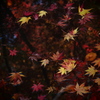 中野邸美術館の紅葉8