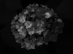 無刻