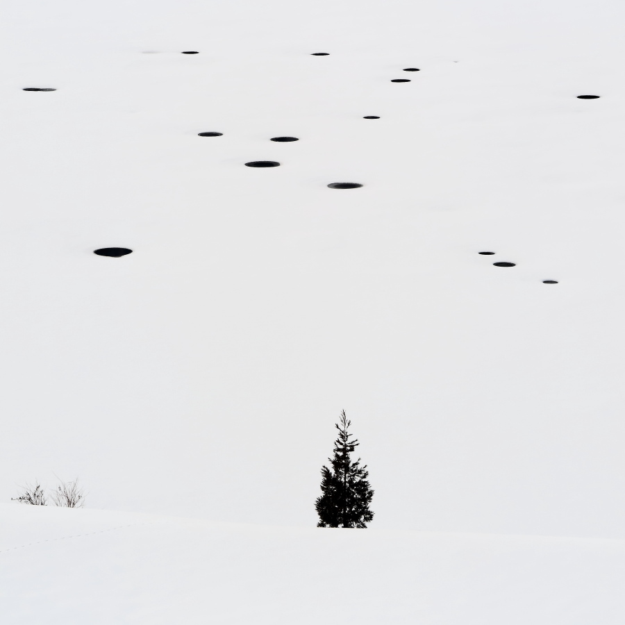 点景