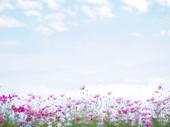 光のパレット04
