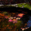 中野邸美術館の紅葉4